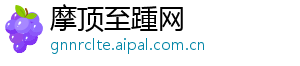摩顶至踵网